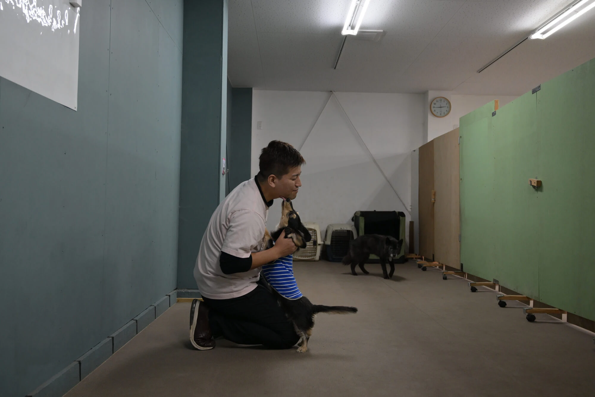 犬