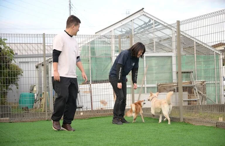 飼い方をサポート | 犬のしつけならワンダフルパートナー