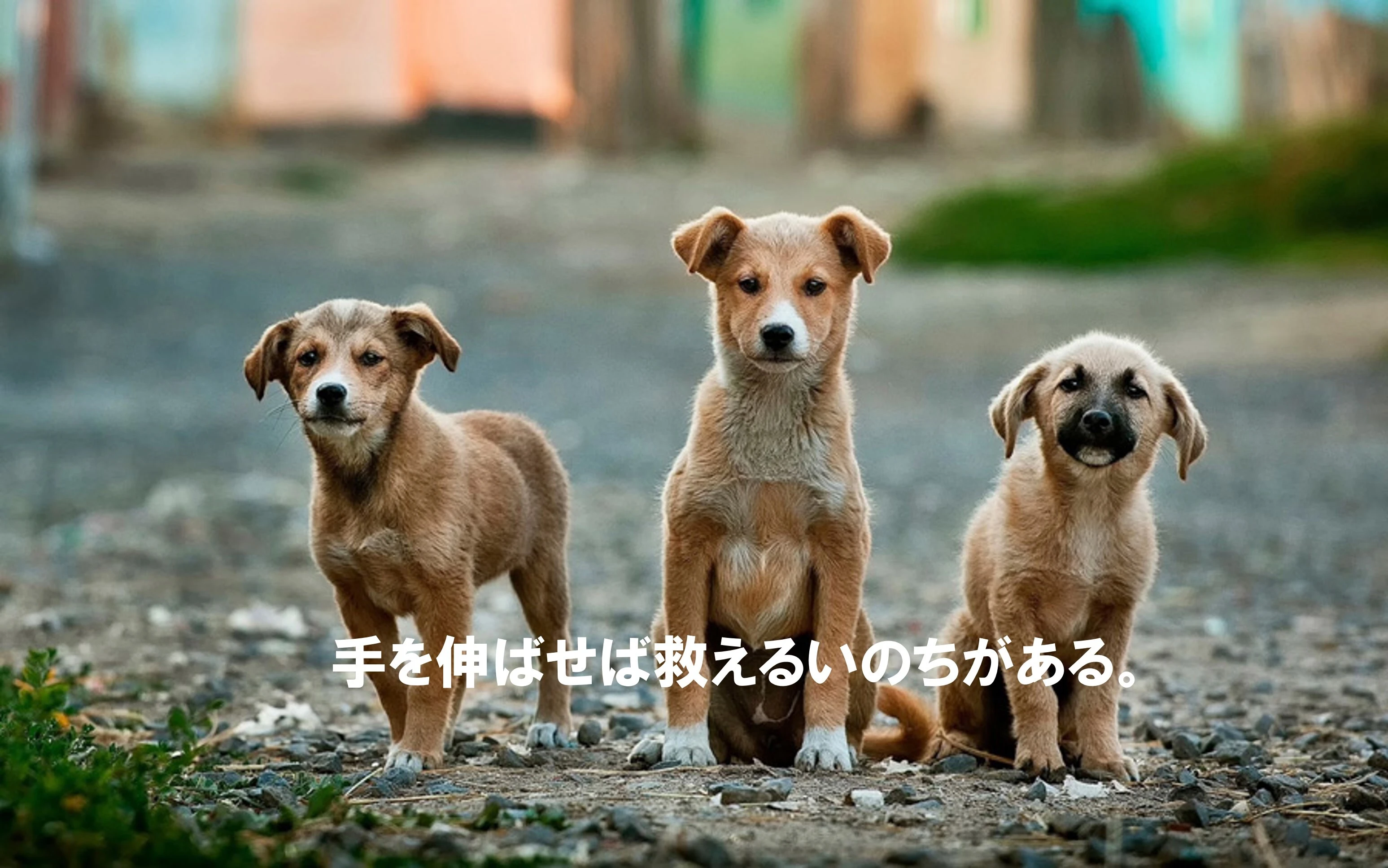ダウンロード (6)