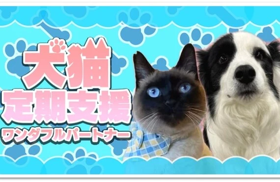 継続ご支援のお願い