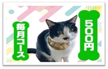 low_bg3
