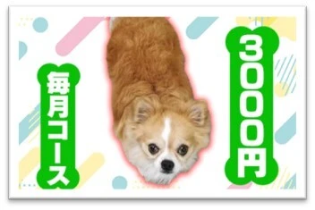 low_bg2