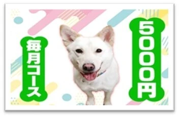 low_bg5
