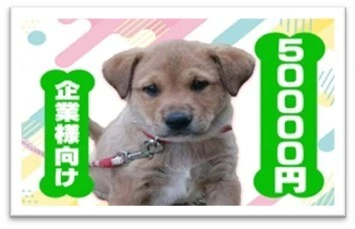 50000円コース