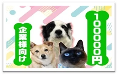 100000円コース