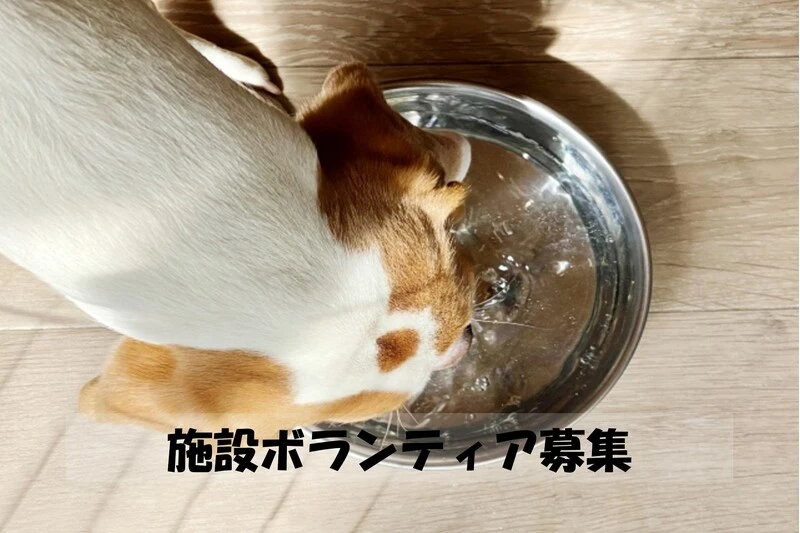 様々な薬剤の中から最適なものを選びます